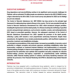 REFORMING POLICING STRATEGIES UNDER THE CNSA FOR EFFECTIVE PERFORMANCE